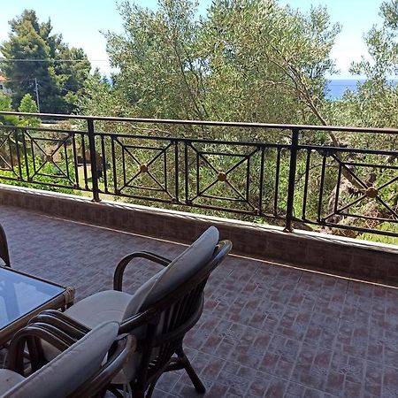 Villa The Olive House Nea Skioni Esterno foto