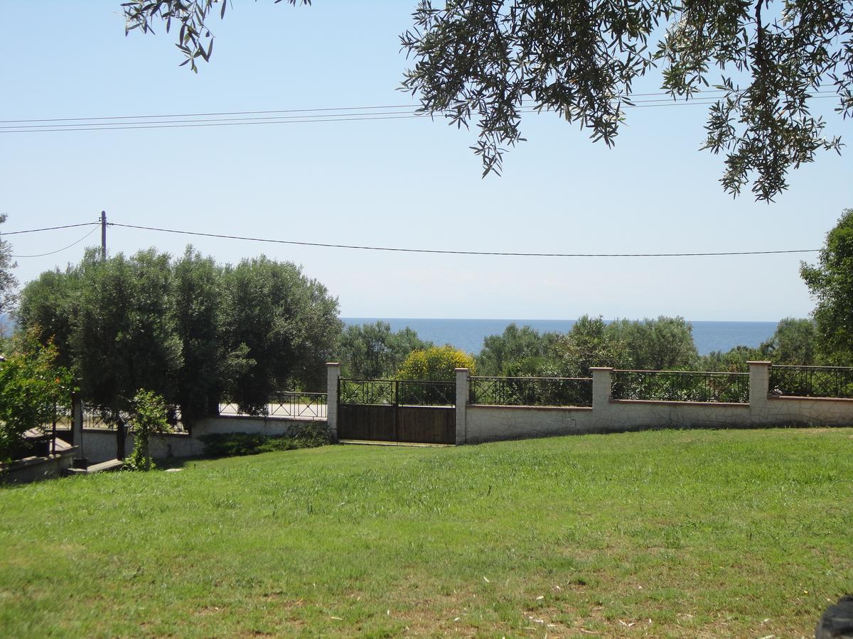 Villa The Olive House Nea Skioni Esterno foto
